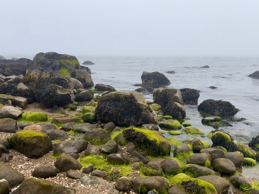 Tide pools at Meig’s Point, Hammonasset Beach State&nbsp;Park