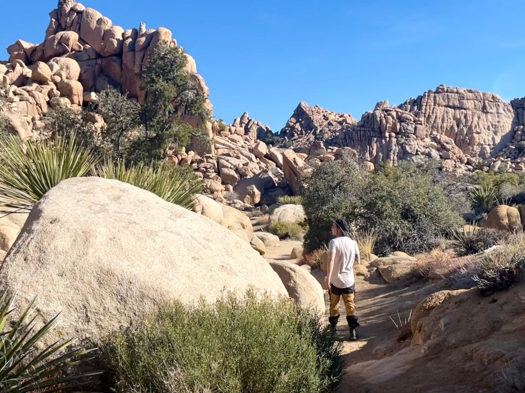 How we spent a winter’s day in Joshua Tree National&nbsp;Park
