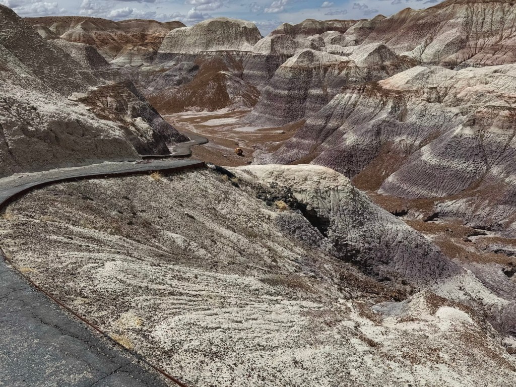 Petrified Forest: Blue&nbsp;Mesa