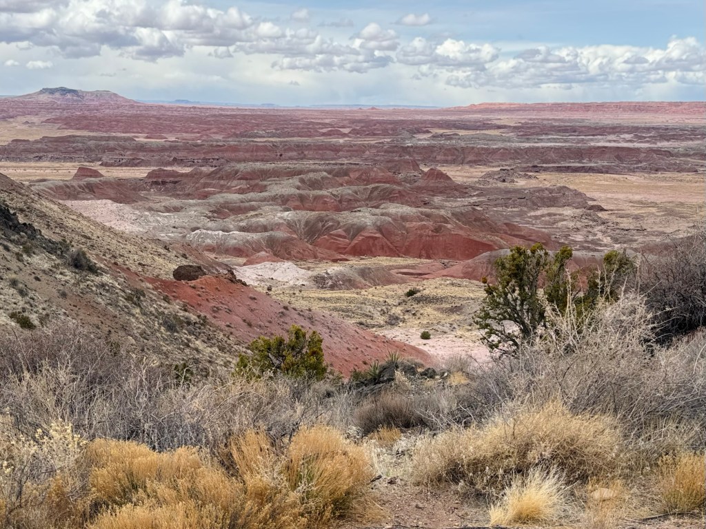 Petrified Forest: The Painted&nbsp;Desert