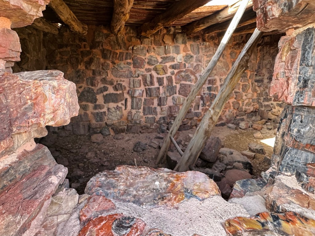 Petrified Forest: Long Logs & Agate&nbsp;House