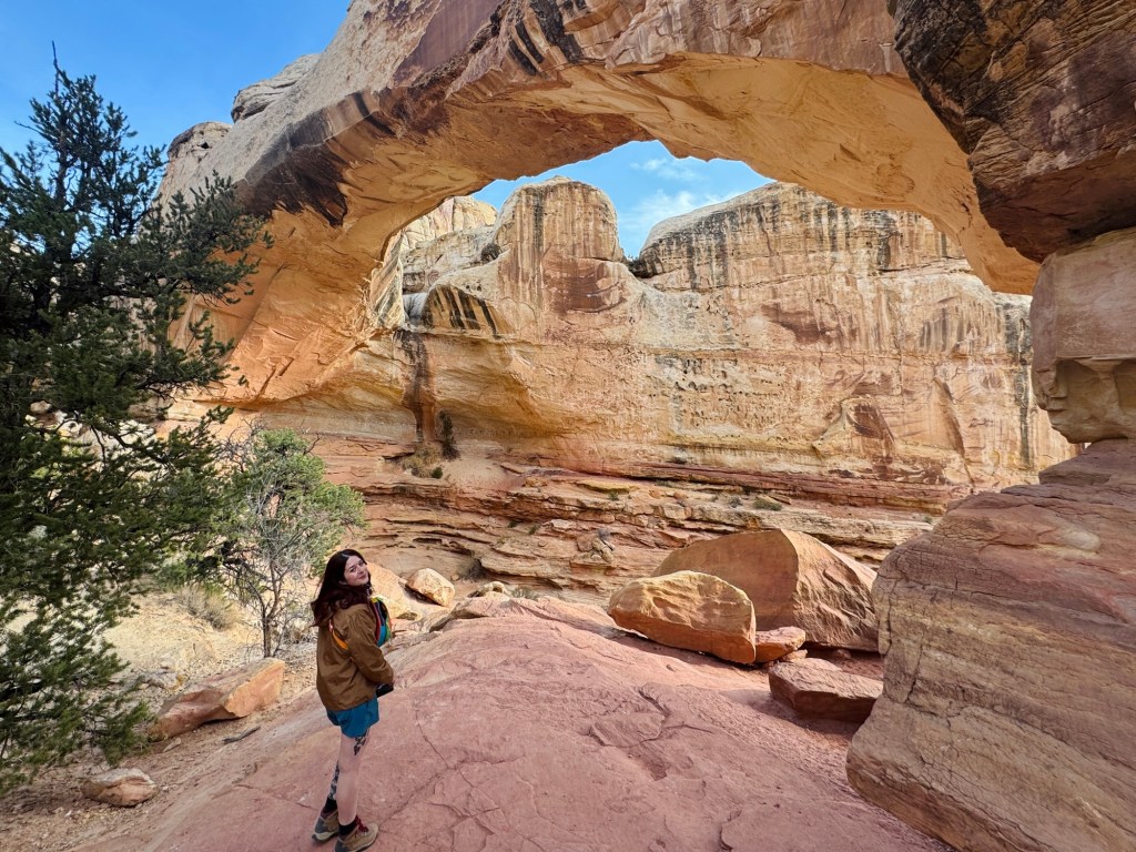 Capitol Reef: Hickman&nbsp;Bridge