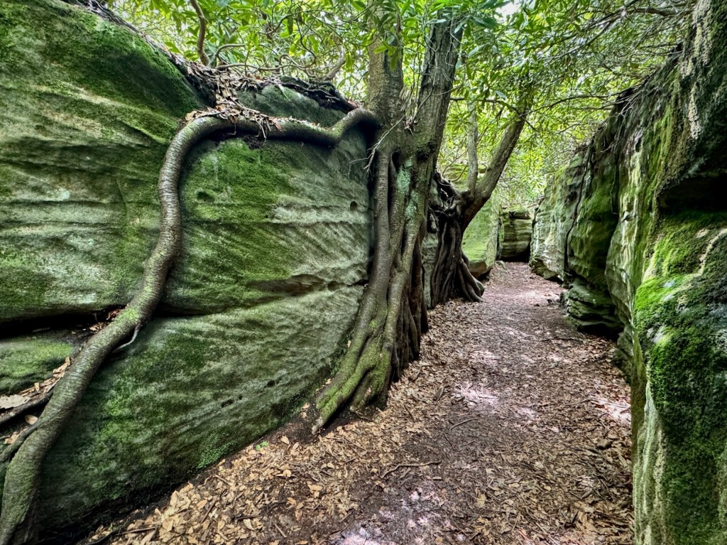 Maryland’s Rock Maze