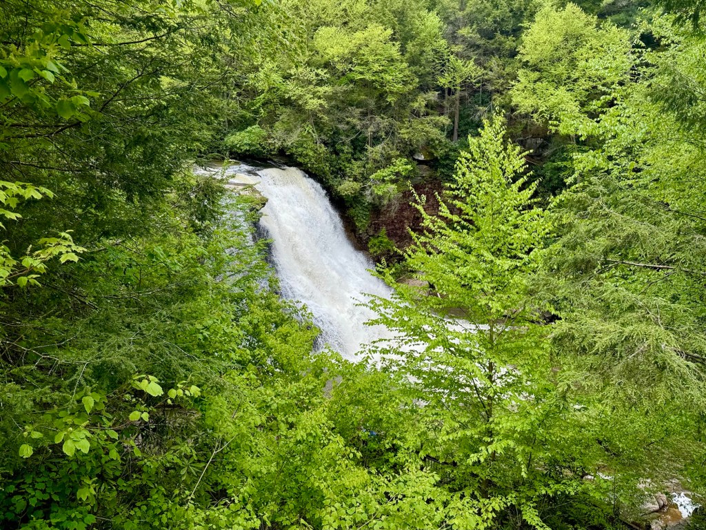 Swallow Falls State&nbsp;Park