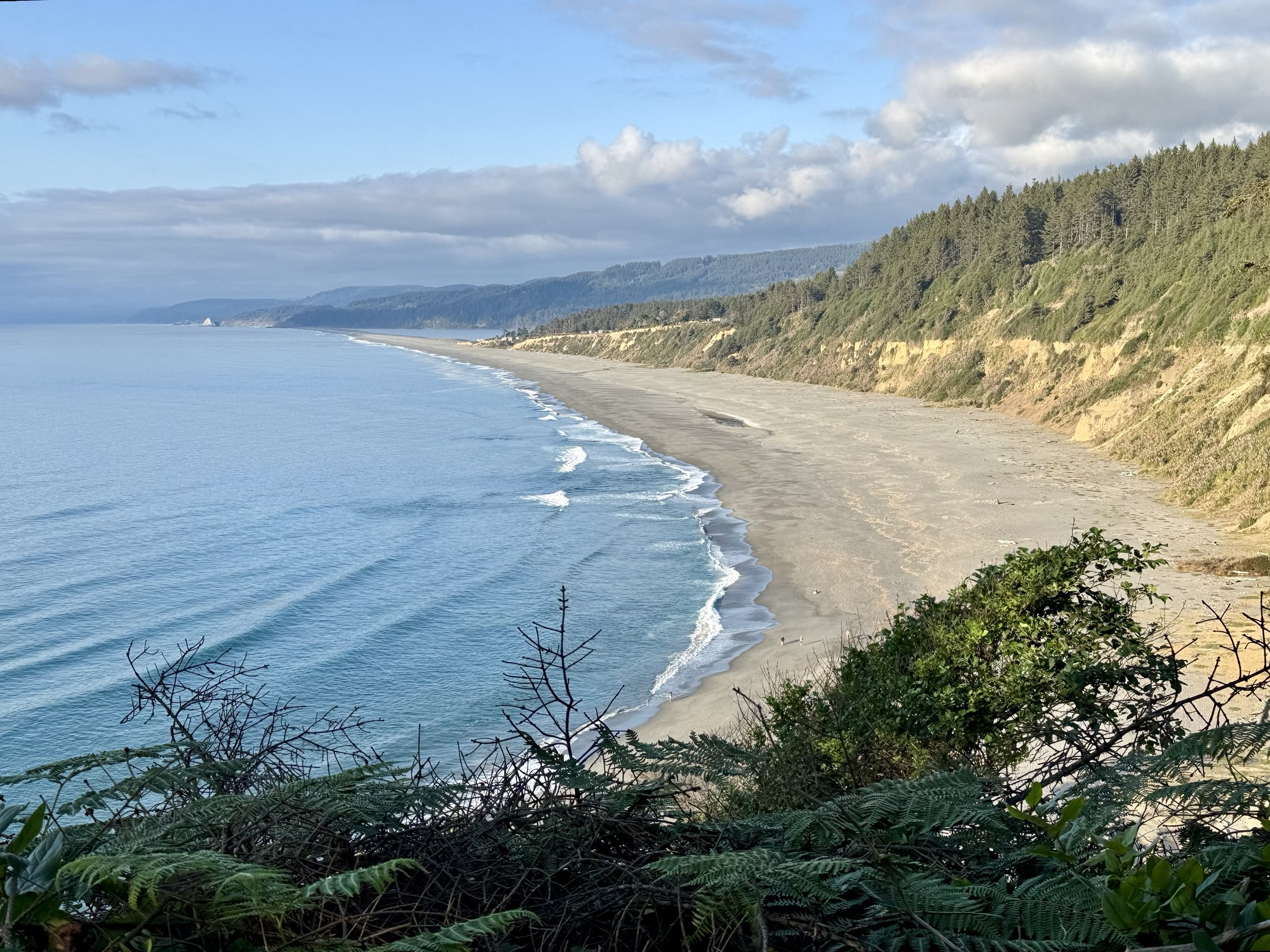 Agate Beach at Sue-Meg State Park in Trinidad, California.