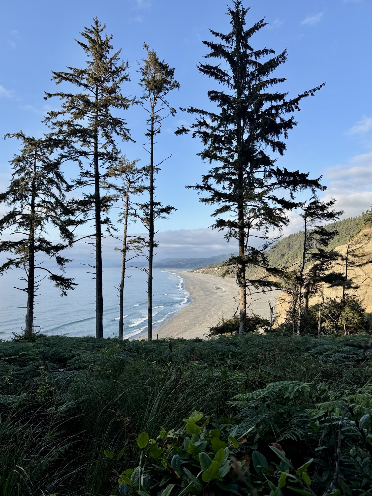 Agate Beach at Sue-Meg State Park in Trinidad, California.