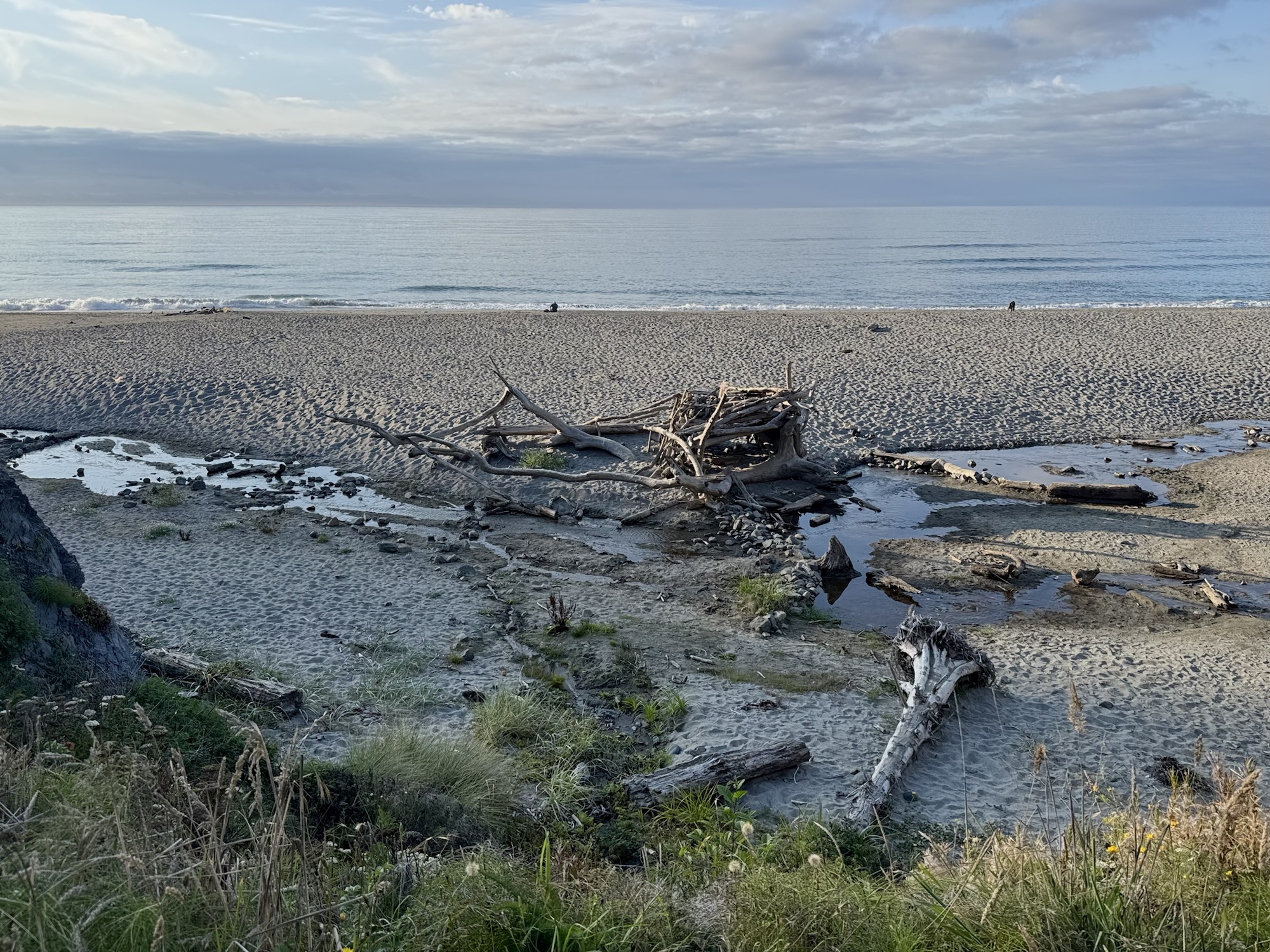 Agate Beach at Sue-Meg State Park.