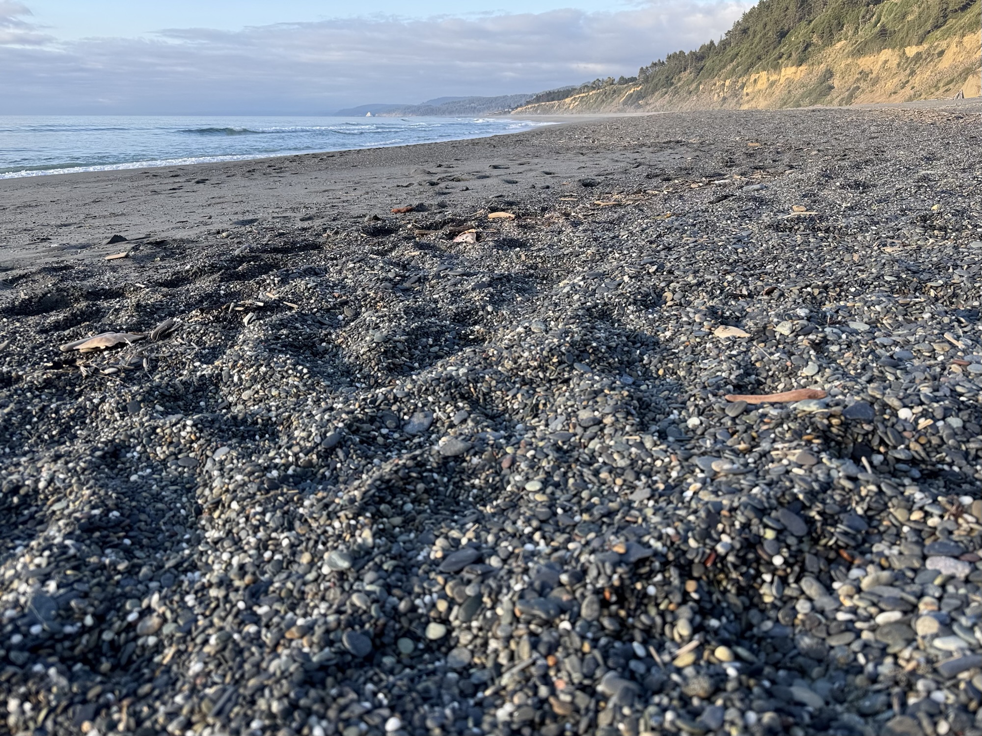 Agate Beach at Sue-Meg State Park in Trinidad, California.