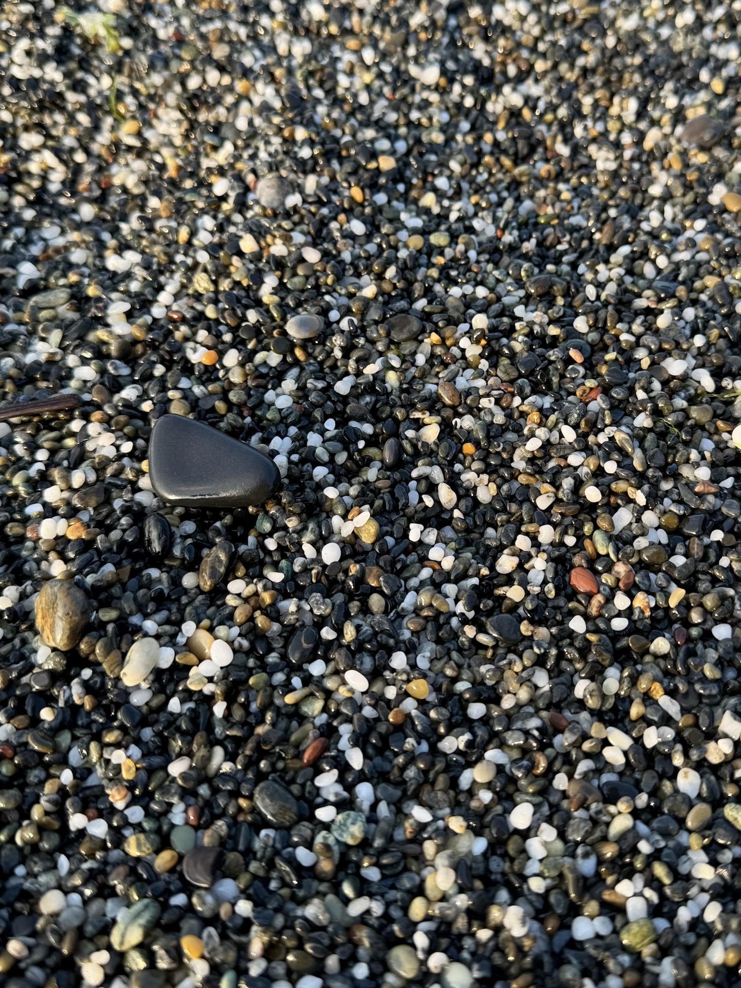 Agate Beach at Sue-Meg State Park.