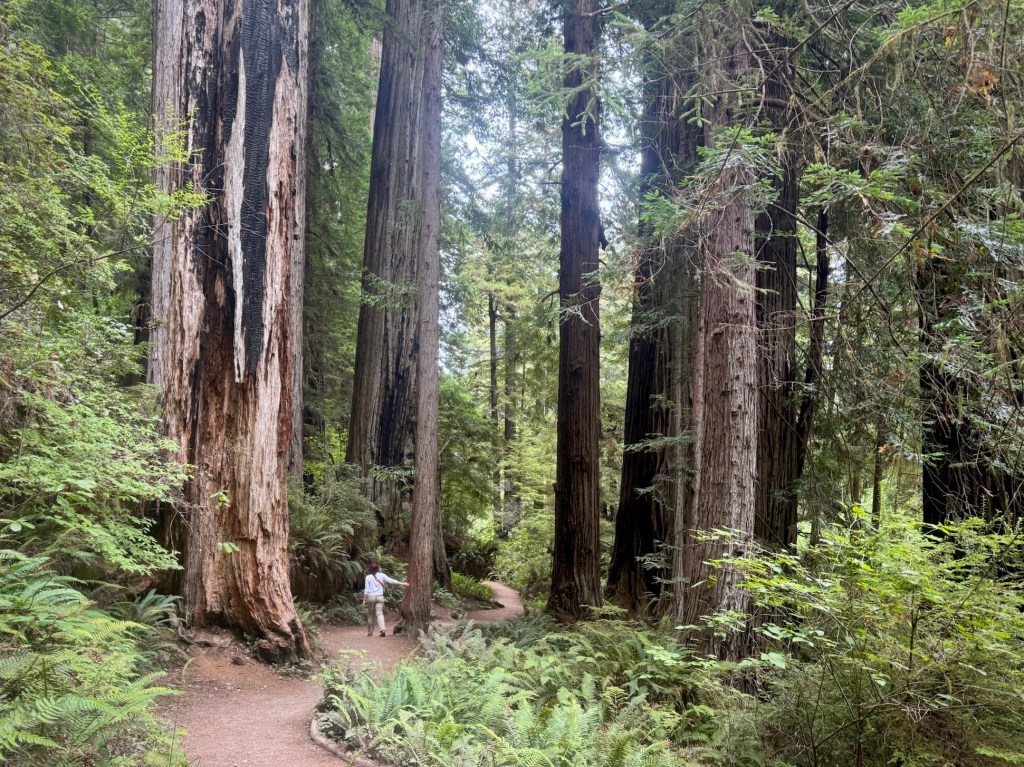 Welcome to Prairie&nbsp;Creek