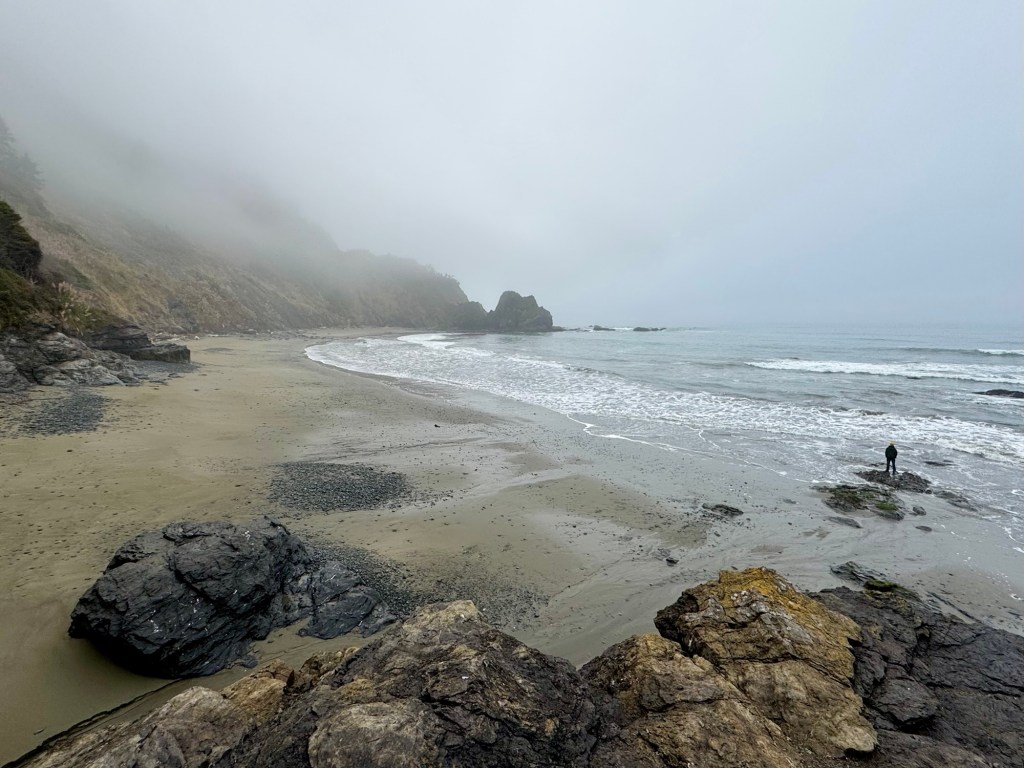 Wednesday morning at Endert’s&nbsp;Beach