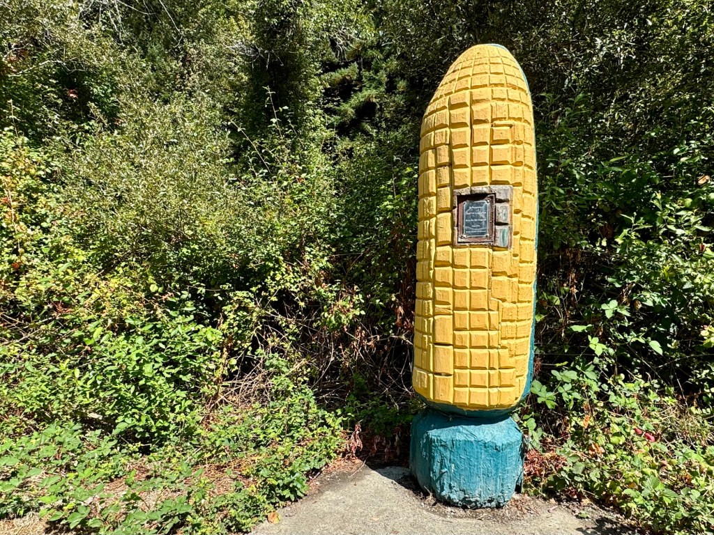 More fun Redwood pit&nbsp;stops